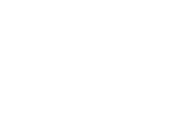 Institut du Mouvement